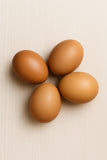 Black Copper Marans Eggs (Per Egg)