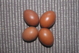 Black Copper Marans Eggs (Per Egg)