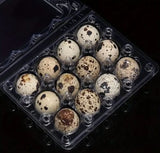 Quail Egg Tray (12)