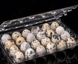 Fertile Mixed Quail Eggs (20)